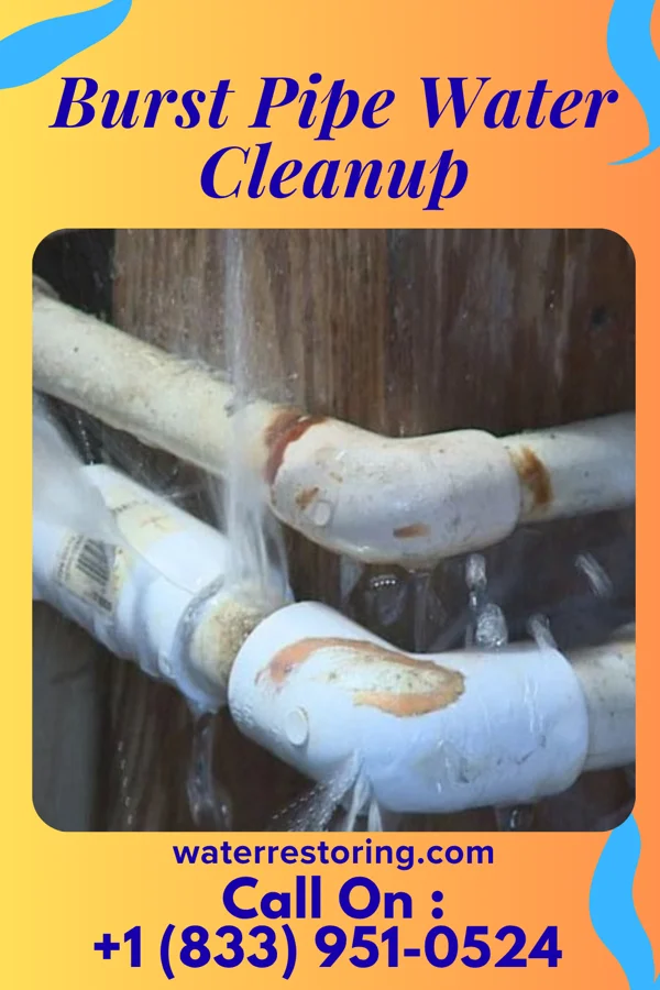 Burst Pipe Water Cleanup in Anderson Creek, NC