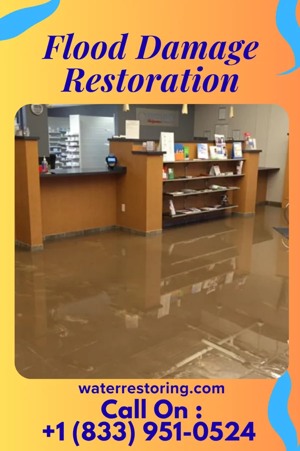 Flood Damage Restoration in Anderson Creek, NC