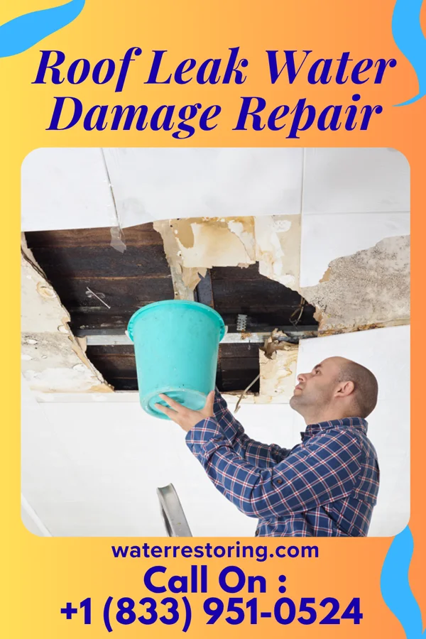 Roof Leak Water Damage Repair in Anderson Creek, NC