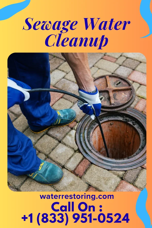 Sewage Water Cleanup in Anderson Creek, NC