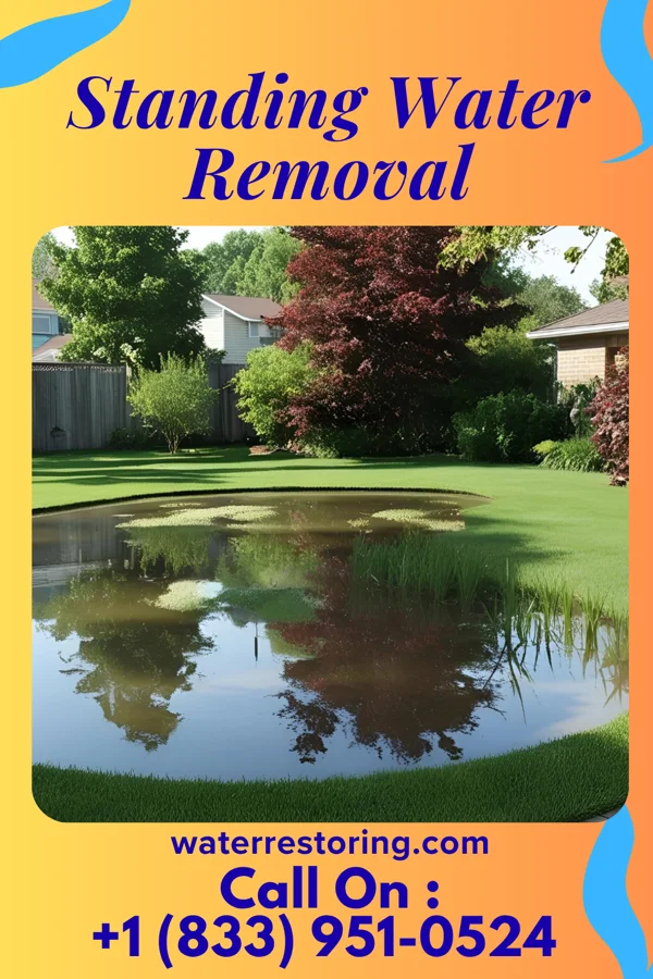 Standing Water Removal in Anderson Creek, NC
